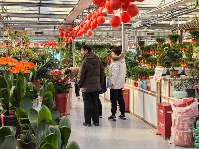 新沂香烟鲜花批发市场(新沂香烟鲜花批发市场电话)